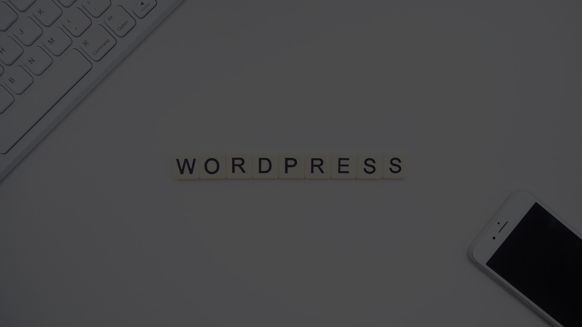 What is WordPress?